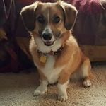 Joanne Pryor - @joanne.pryor.7 - Instagram