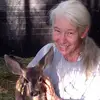 joannepryor - @joannepryor - TikTok