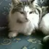 Joanne Pugh972 - @joannepugh0 - TikTok