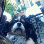 Joanne Pugh - @joannepugh82 - Instagram