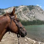 Joanne Pugh Nitychoruk - @nityjoanne - Instagram