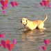 Joanne Rea - Facebook