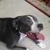 Joanne Rector - Facebook