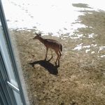 Joanne Renaud - @joanne.renaud.10 - Instagram