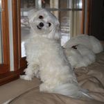 Joanne Renner Patrick - @joanne.r.patrick - Instagram