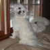 Joanne Renner Patrick - Facebook