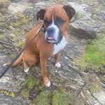 Joanne Riggott - @joanne_riggott - Instagram