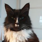 Joanne Riggs - @joanne.riggs.12 - Instagram