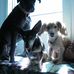Joanne Ring - Facebook