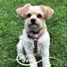 Joann Rivers - Facebook