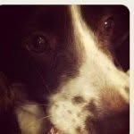 Joanne Rix - @joannerix1btinternet - Instagram
