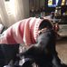 Joann Roark - Facebook