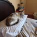 Joanne Roberson - Facebook