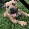 Joanne Robles - @joanne.robles5 - TikTok