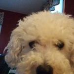 Joanne Rollinson - @joannerollinson - Instagram