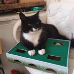 Joanne Brooke - @joanne.brooke.10 - Instagram