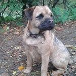 Joanne Rutter Whitehead - @whiteheadjoanne - Instagram