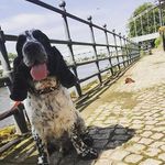 Joanne Smith - @joanne.rutter.12 - Instagram