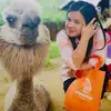 joannessamuel - @joannessamuel - TikTok