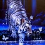 Joanne Samuelson - Facebook