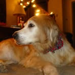 Joanne Samuelson Hill - Facebook