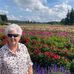 Joann Sands - Facebook