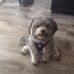 Joanne Saucier - Facebook