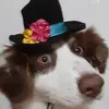 Joanne Saucier Dionn - @joannesaucierdionne - TikTok