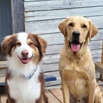 Joanne Saucier Dionne - @majikaussie - Instagram