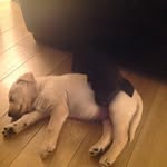 Joanne Scully - @joannescully - Instagram