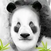 Joanne Senner - @joannesenner - TikTok