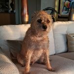 joanne - @joanneshapiro452020 - Instagram