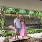 Joanne Sheard - Facebook