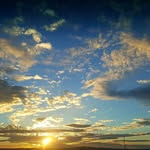 Joanne Sheldon - @joannehalverson - Instagram