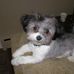 Joanne Sheldon - Facebook