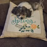 Joanne Sheldon - @joanne.sheldon - Instagram