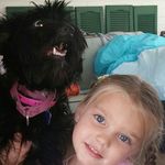 Joanne Shepard - @joanneshepard - Instagram