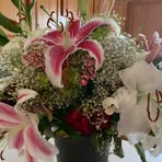 Joanne Shepard - Facebook
