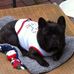 Joanne Sherry - Facebook