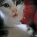 Joanne Shore - Facebook