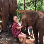 Joanne Krol Silverstein - @jokrol - Instagram