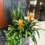 Joann Slaughter - @joann69566 - Instagram
