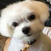 Joanne Slocum703 - @joanneslocum731 - TikTok