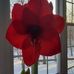 Joanne Slocum - Facebook