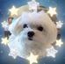 Joanne Slocum - Facebook
