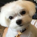 Joanne Slocum - @slocumjoanne - Instagram