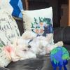 Joanne Slocum - @joanne.slocum - TikTok