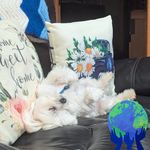 Joanne Slocum - @slocum3425 - Instagram