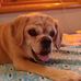 Joanne Snider - Facebook