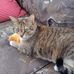 Jo Somerville - Facebook